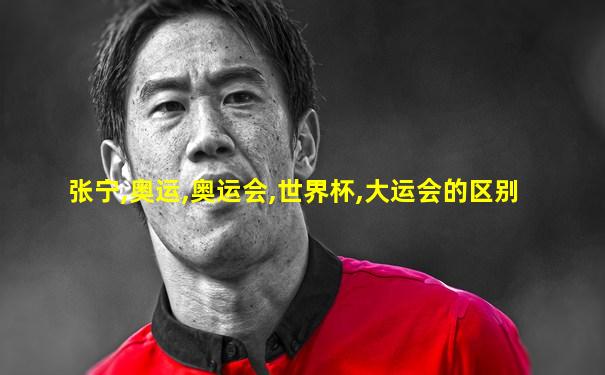 张宁,奥运,奥运会,世界杯,大运会的区别