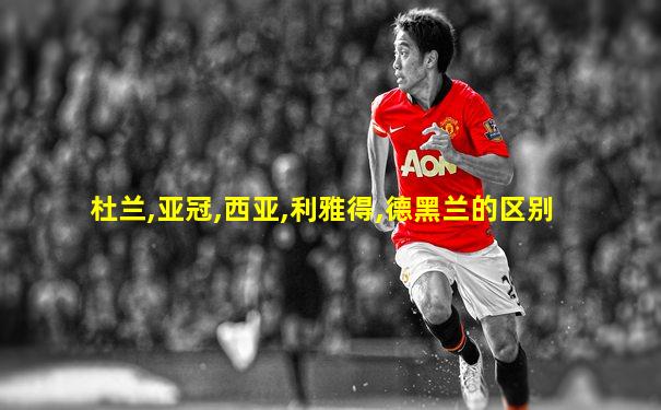 杜兰,亚冠,西亚,利雅得,德黑兰的区别